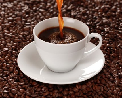 Making coffee a green habit Is that morning cup of coffee hurting the environment?